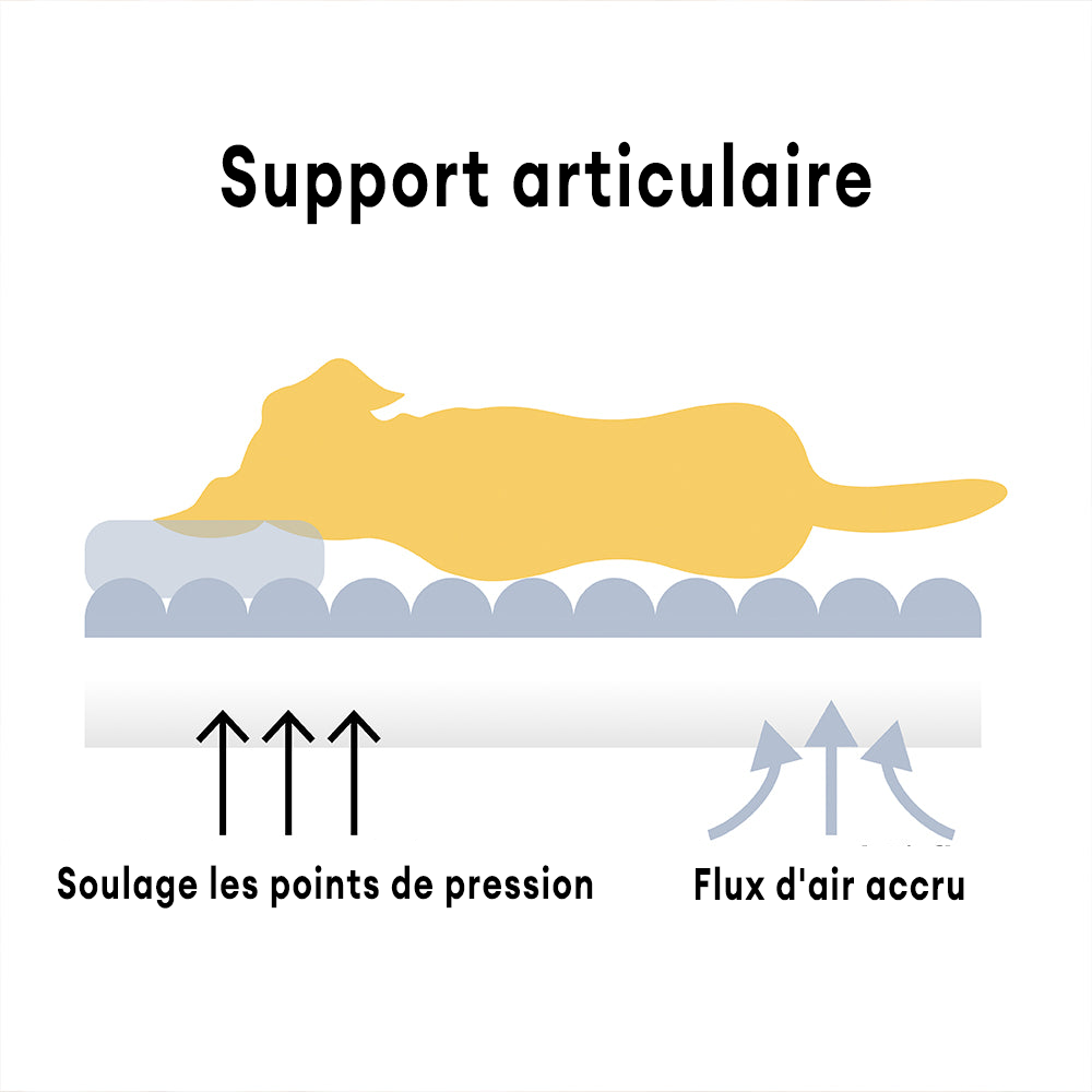 CloudNest – Canapé Orthopédique Premium pour Chien