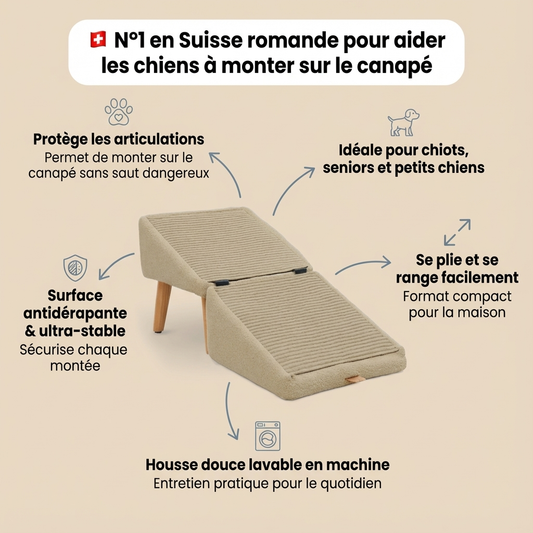 Rampe repliable 2 en 1 pour chien